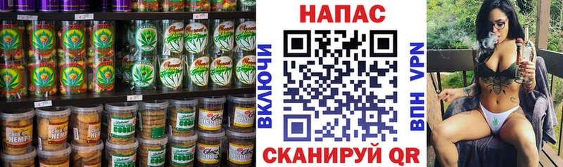 mega как войти  darknet наркотические препараты  Оренбург  Canna-Cookies марихуана  где найти  