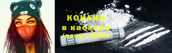 винт Осинники